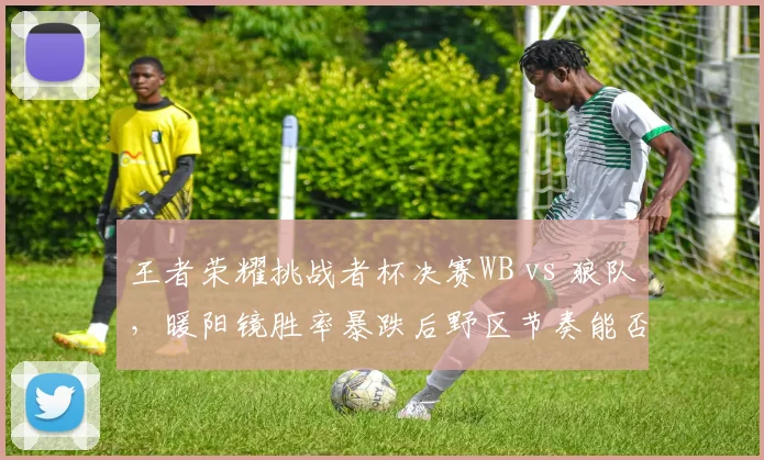 王者荣耀挑战者杯决赛WB vs 狼队，暖阳镜胜率暴跌后野区节奏能否压制小胖